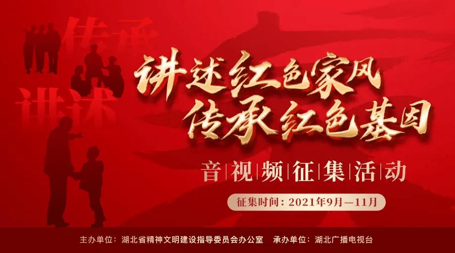 保时捷EK改色膜云杉绿，也忒忒好看了叭！！